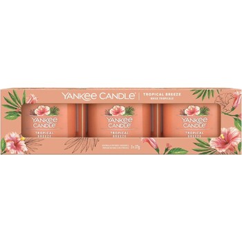 Sada votívnych sviečok v skle Tropica l Breeze